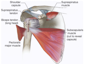 الكتف المتجمد (التهاب المحفظة اللاصق) – أسبابه وعلاجه Frozen Shoulder