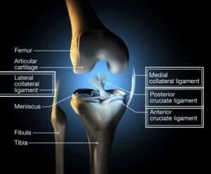 Knee Surgery جراحة الركبة