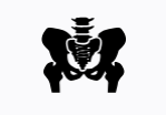 pelvic