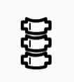 spine