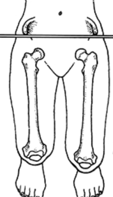 image 36