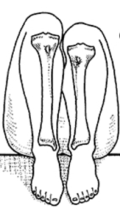 image 37