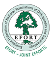 Efort net