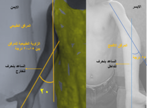 مرفق افحج